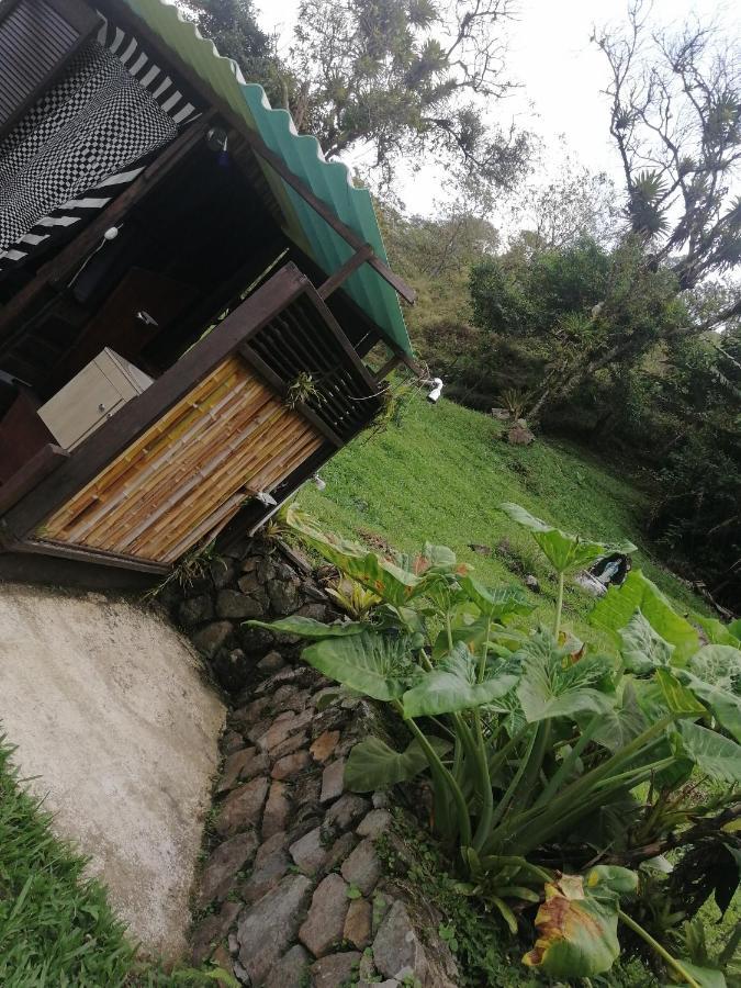 Casa Yantra La Lola Hotell Pance Exteriör bild